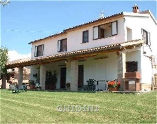 2 - venta comercio campagnatico toscana italia