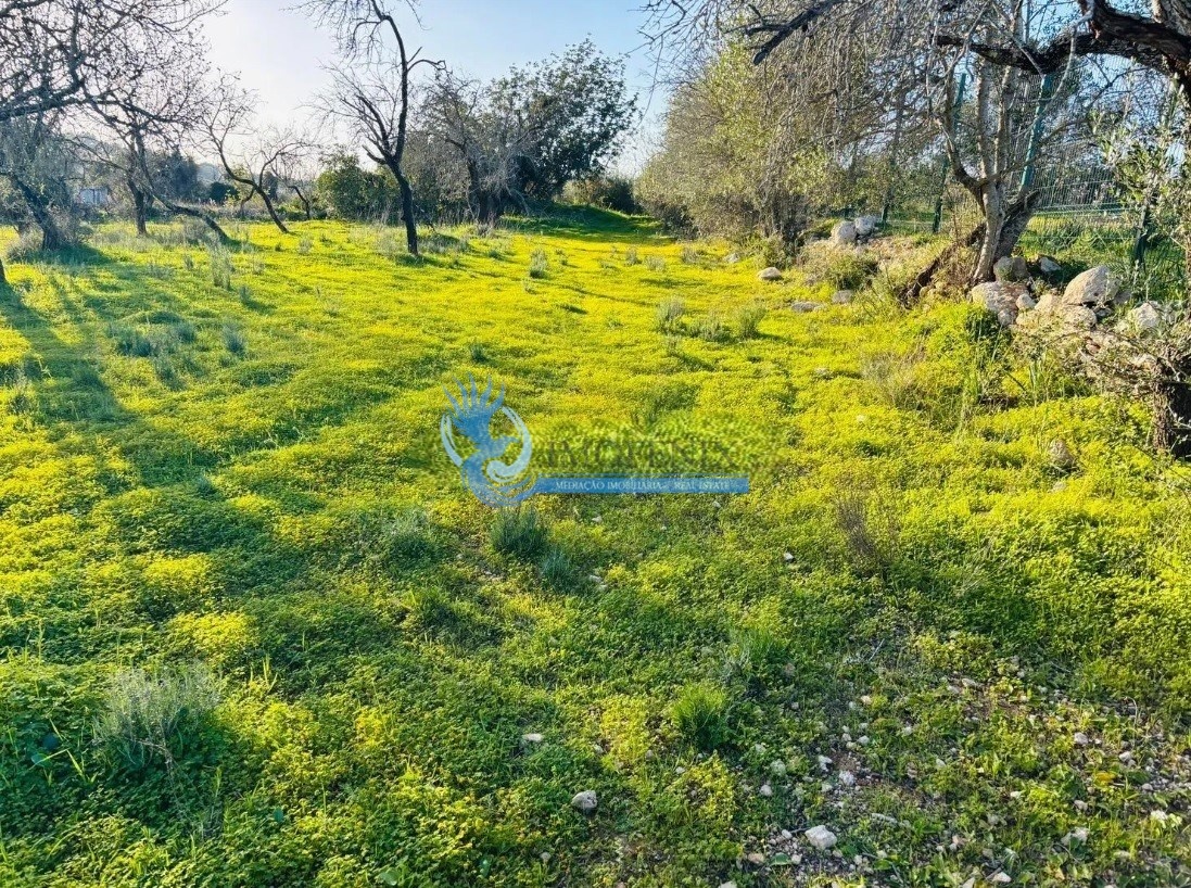 1 - plot of land for sale in albufeira algarve portugal