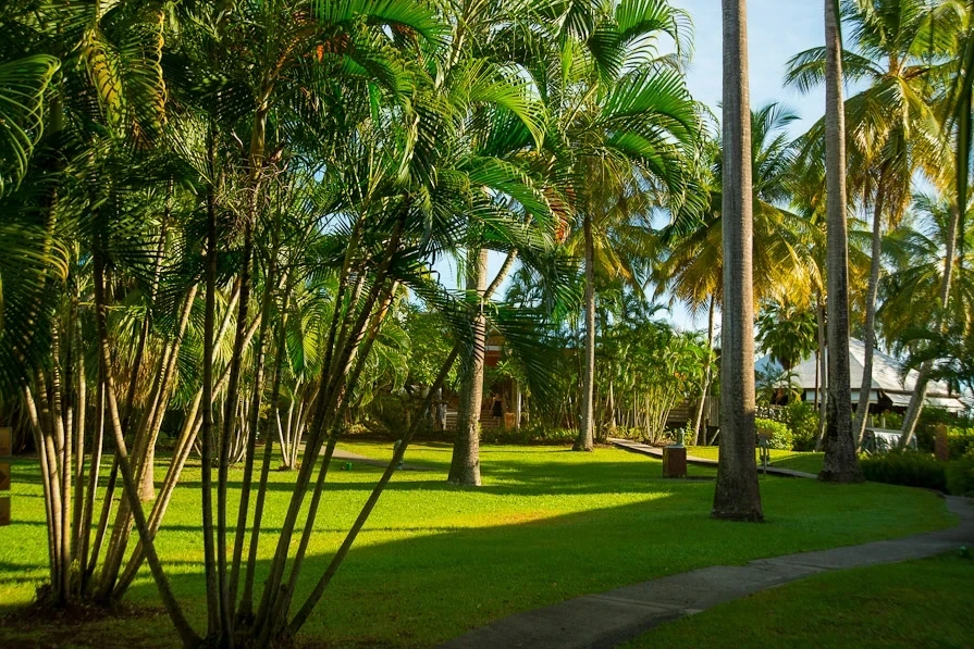 2 - verkauf business direkt am wasser fort-de-france martinique - französische antillen karibische inseln