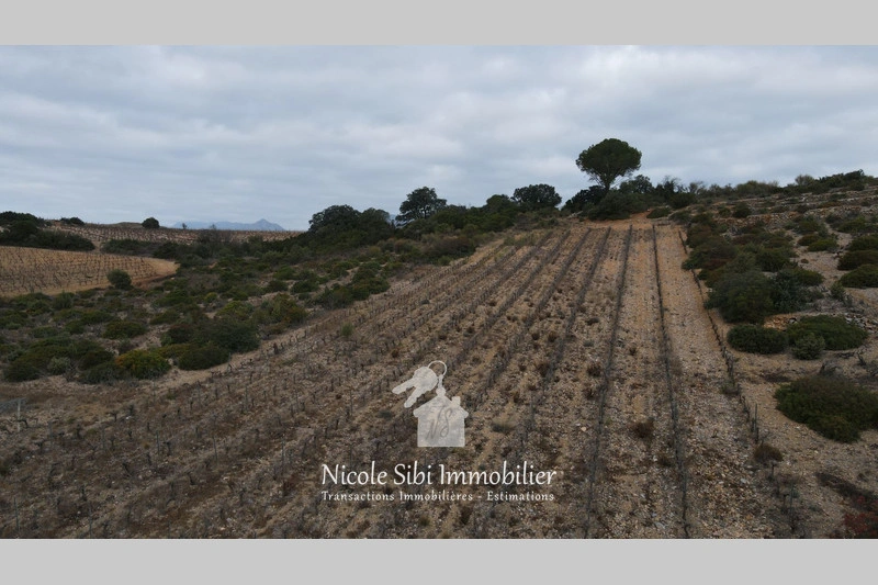 2 - venta terreno tautavel pirineos orientales francia