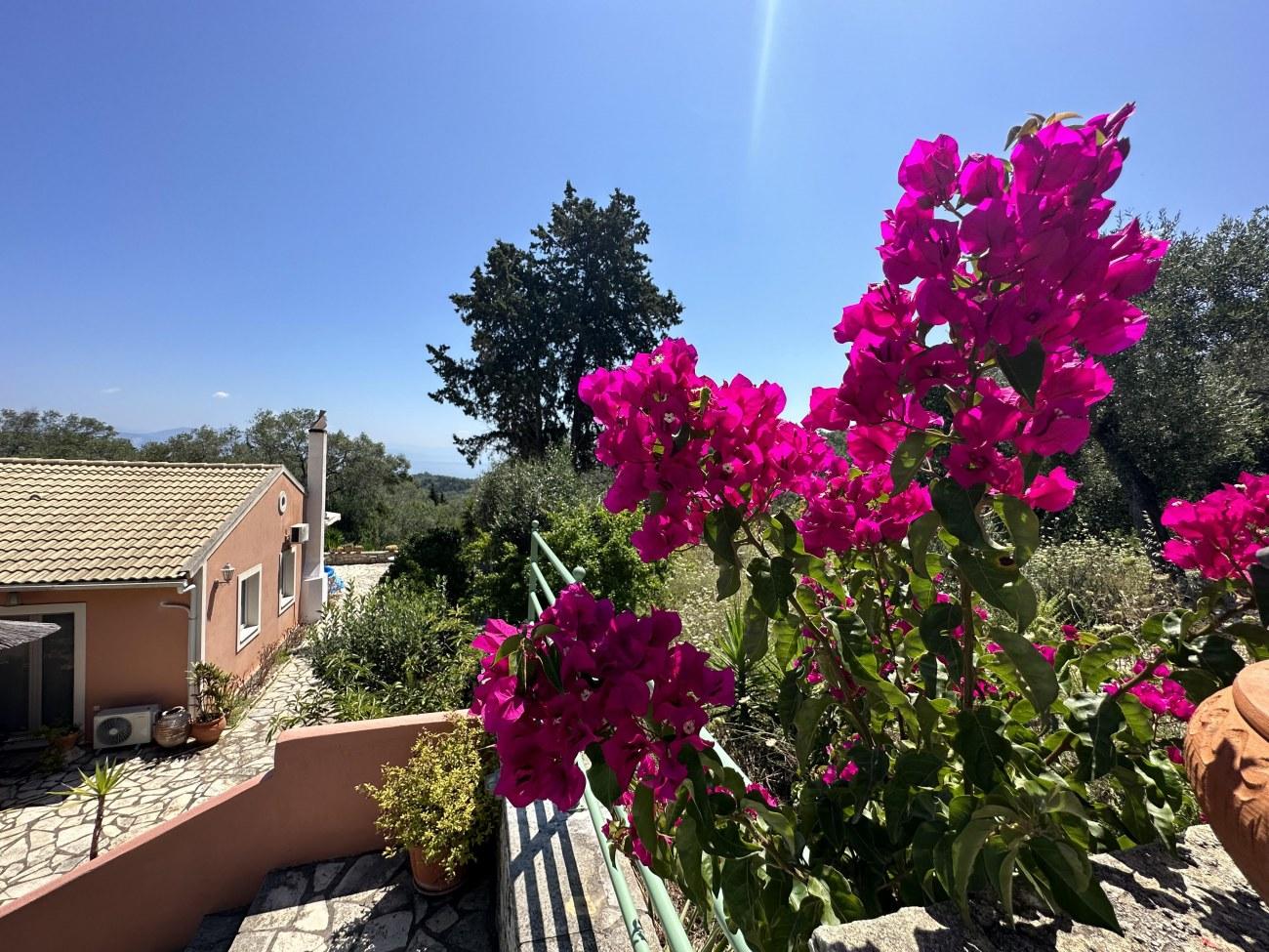 1 - house for sale in paxos ionian islands greece