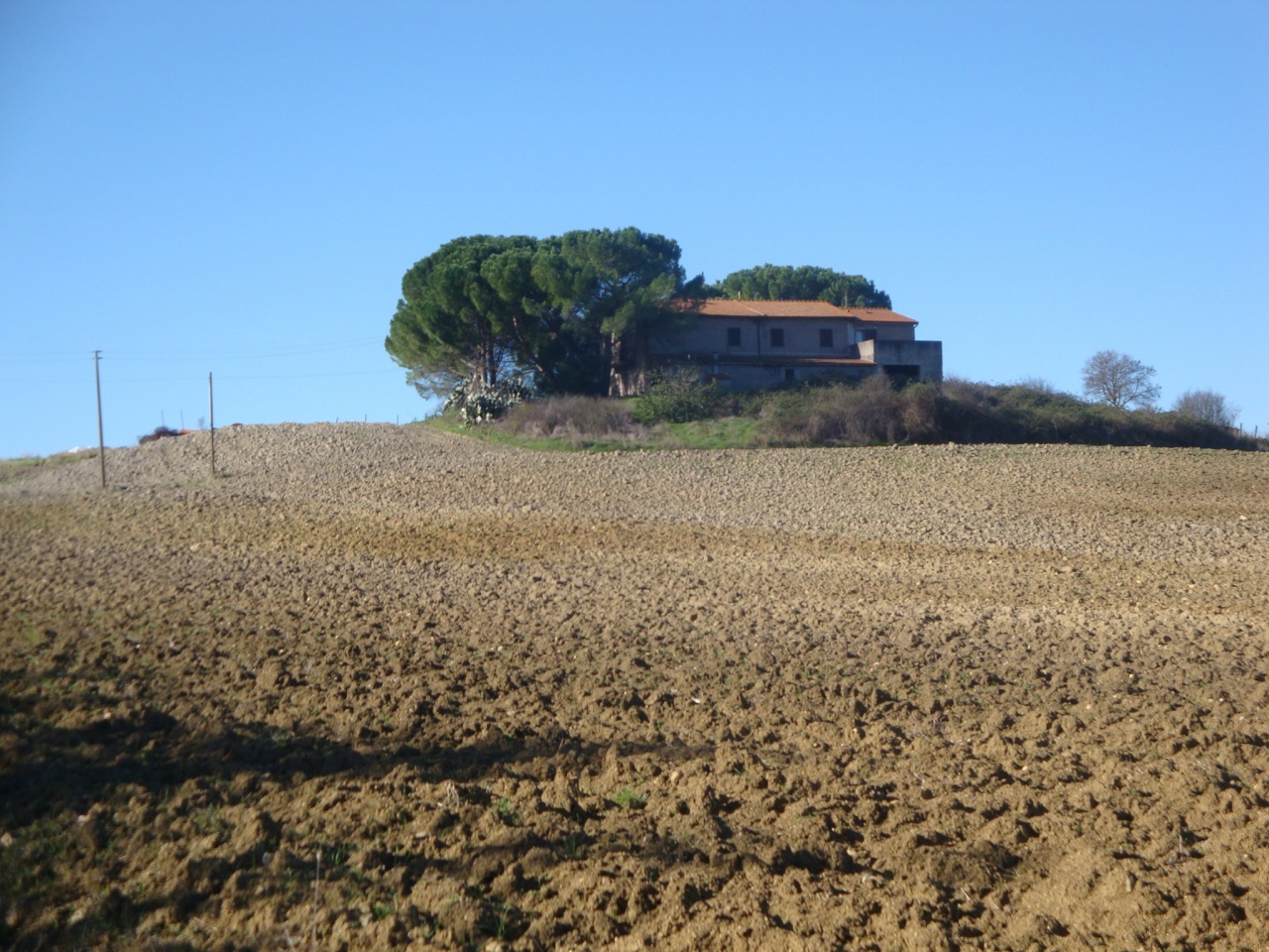 1 - house for sale in bibbona tuscany italy
