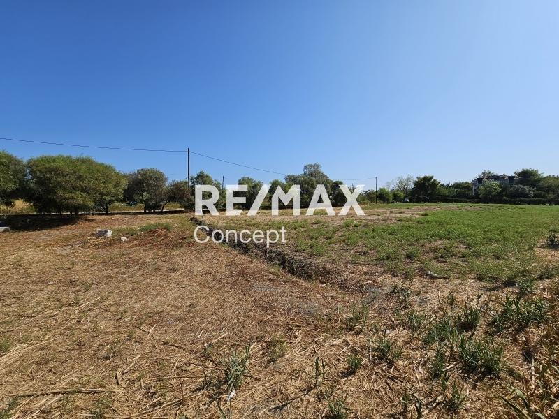 1 - vendita terreno zante isole ioniche grecia