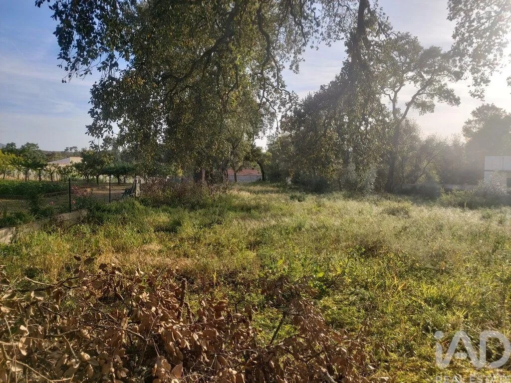 2 - verkauf grundstück pedreiras region zentrum portugal