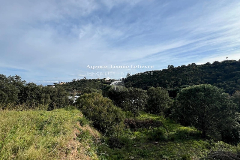 1 - plot of land for sale in les issambres var france