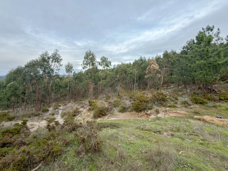2 - verkauf grundstück torres vedras region zentrum portugal