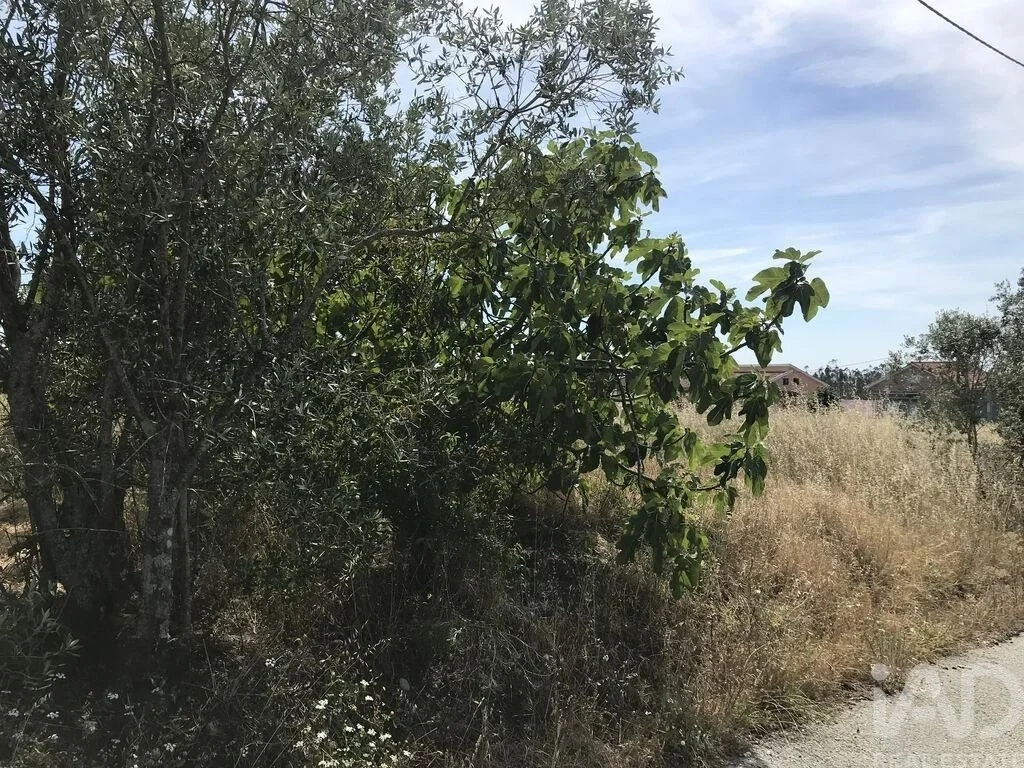 2 - vente terrain leiria région centre portugal