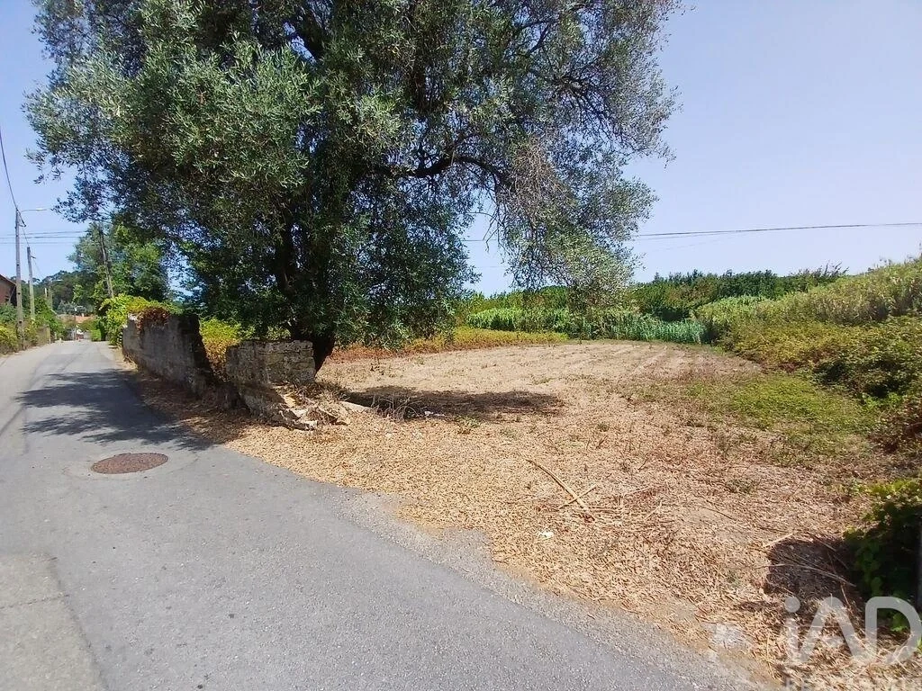 1 - plot of land for sale in ouca centro region portugal