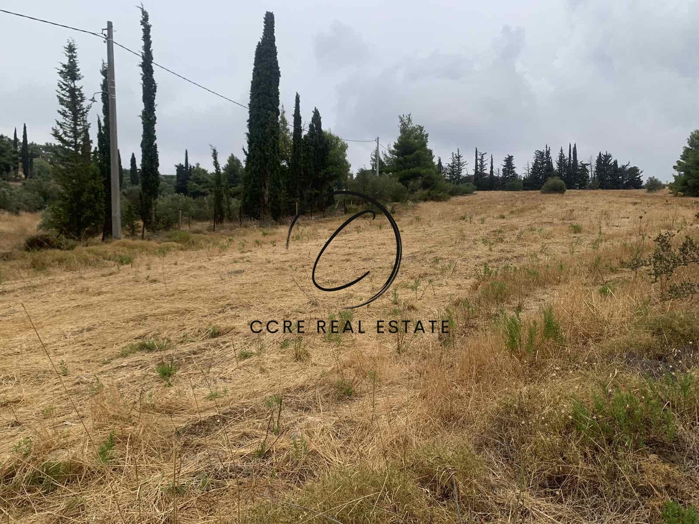 2 - venta terreno polydendri ática grecia