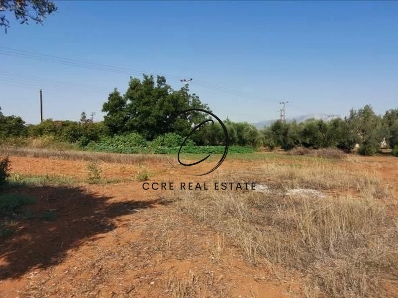 1 - vente terrain markopoulo attique grèce