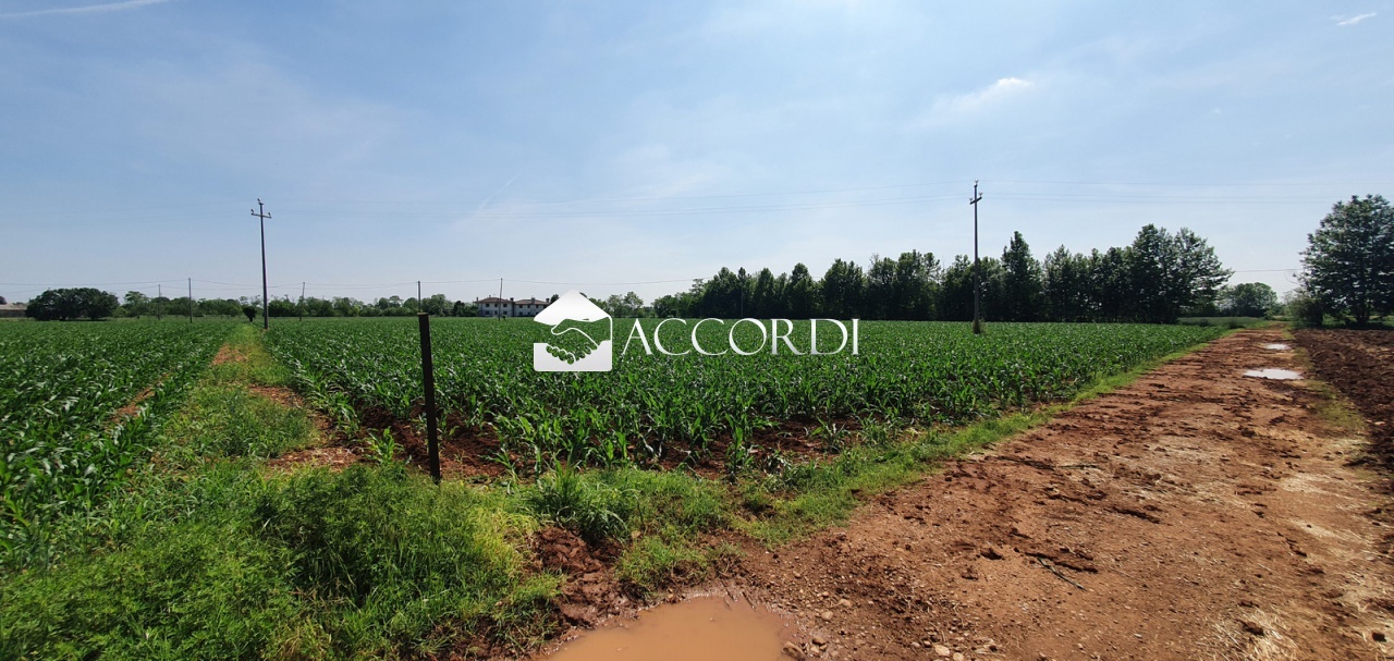 2 - plot of land for sale in vedelago veneto italy