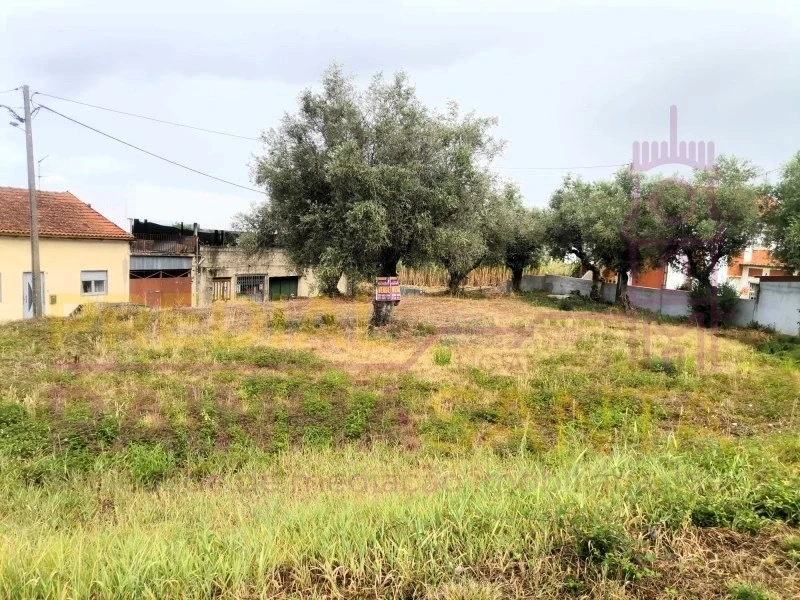 2 - vendita terreno coimbra regione centro portogallo