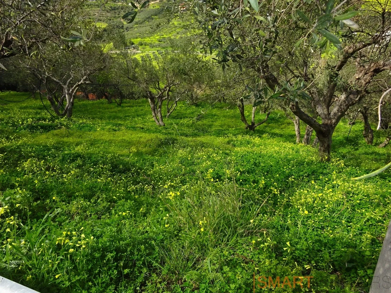 2 - vendita terreno archanes creta grecia