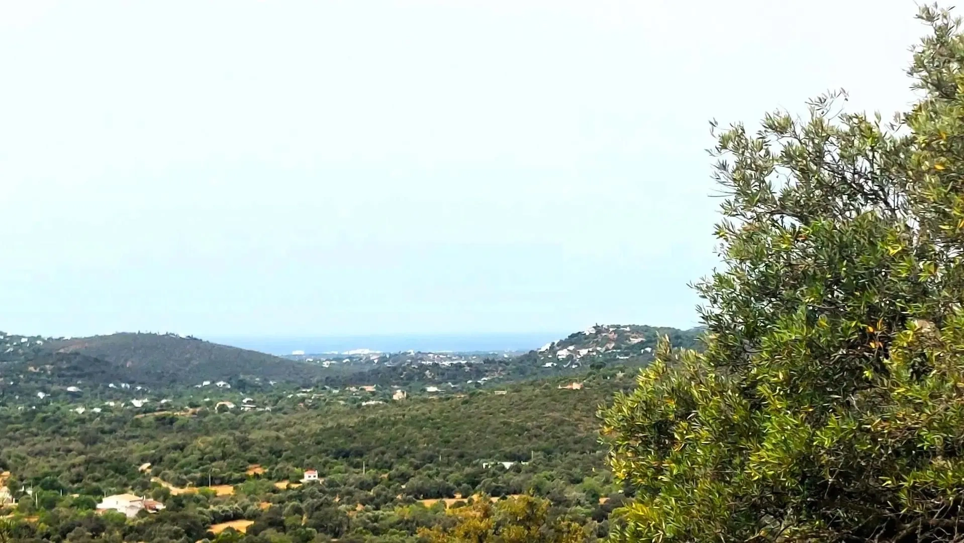 2 - plot of land for sale in santa bárbara de nexe algarve portugal