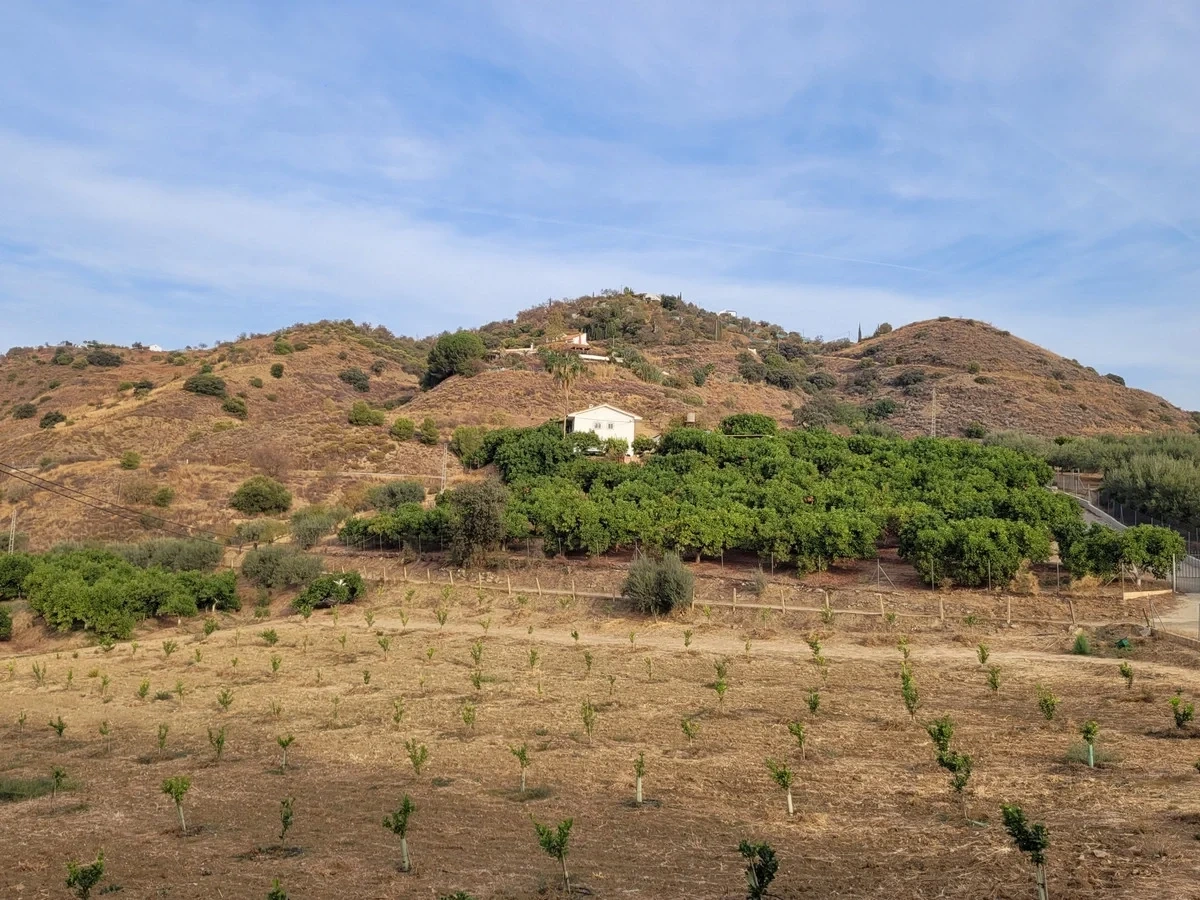 2 - vente terrain guaro andalousie espagne