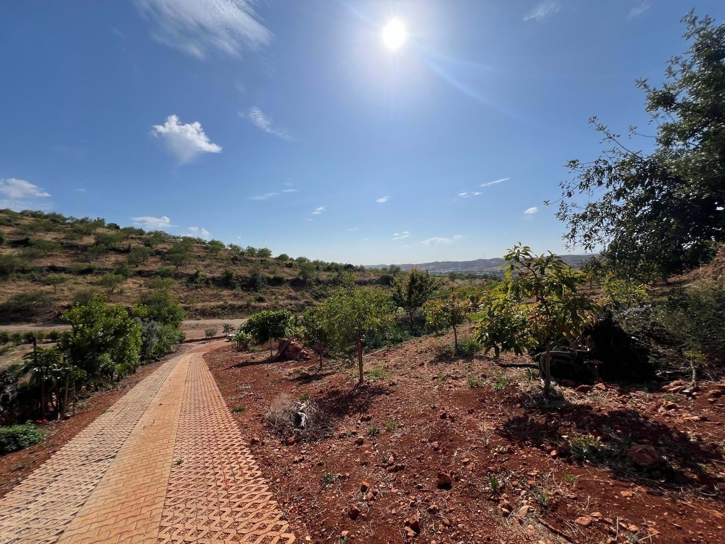 1 - plot of land for sale in silves algarve portugal