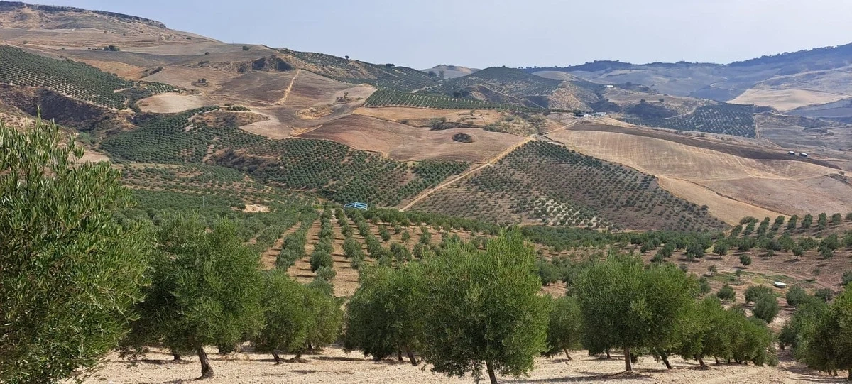Terreno de 370 000 m²