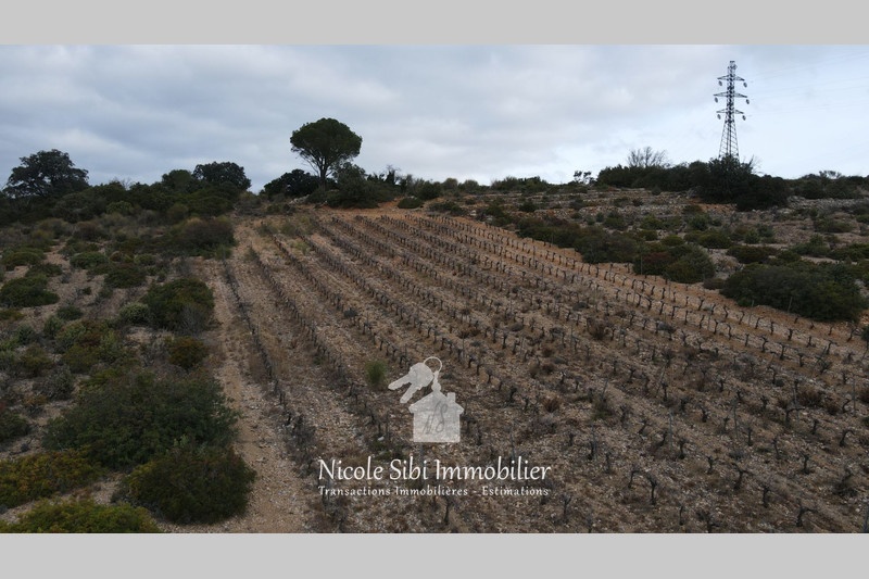 1 - verkoop terrein tautavel pyrénées-orientales frankrijk