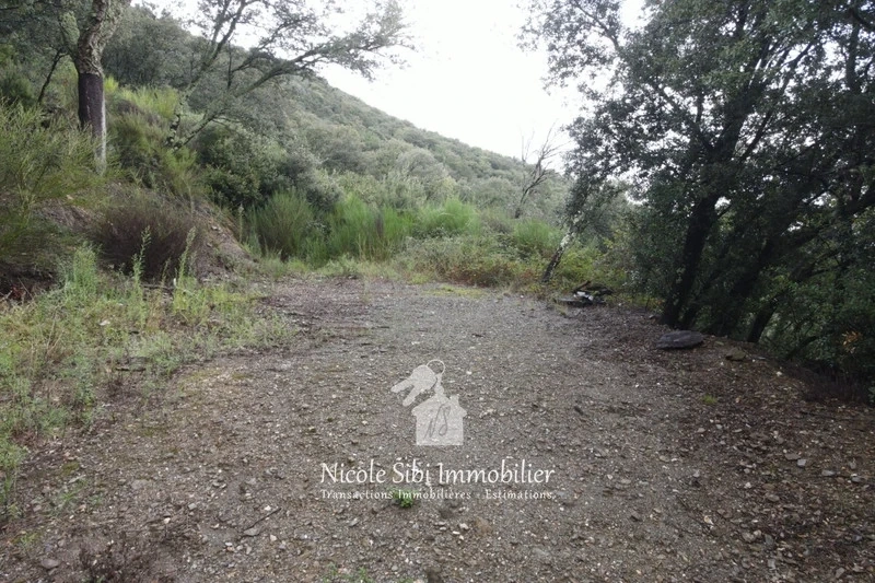 1 - verkoop terrein montboló pyrénées-orientales frankrijk