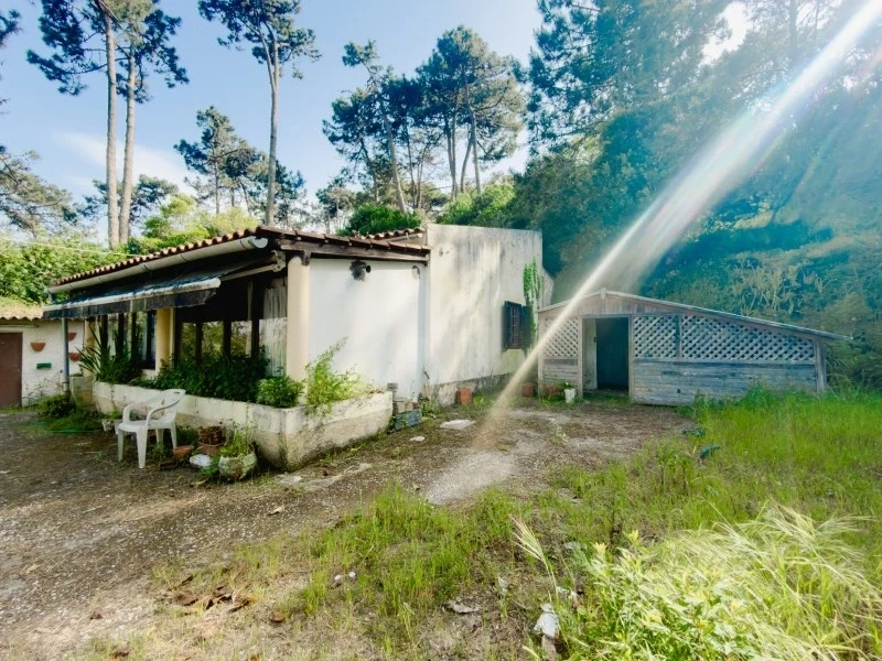 1 - vente maison colares région de lisbonne portugal