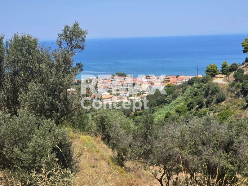 1 - продажа территория вид моря zante ионические острова греция