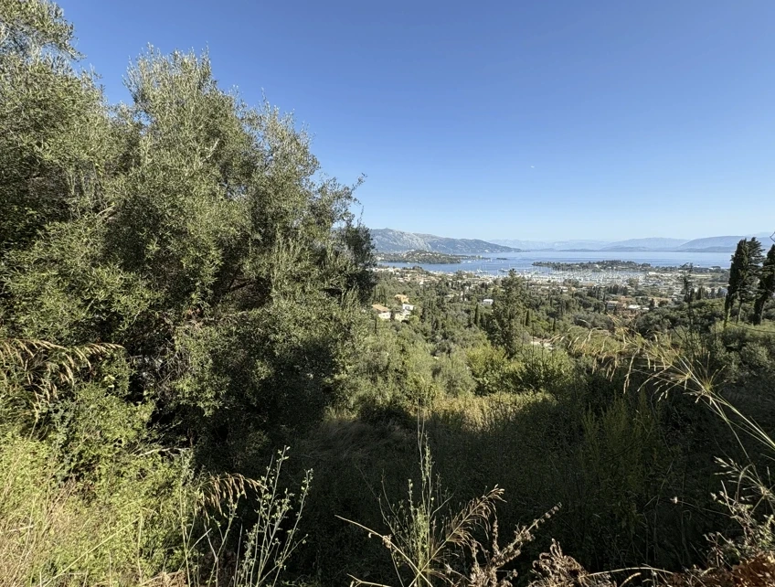 2 - vente terrain kyrá chrysikoú îles ioniennes grèce
