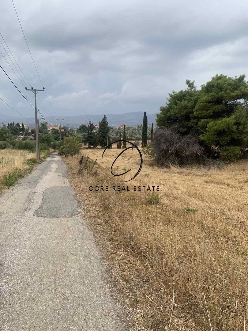 1 - venta terreno polydendri ática grecia