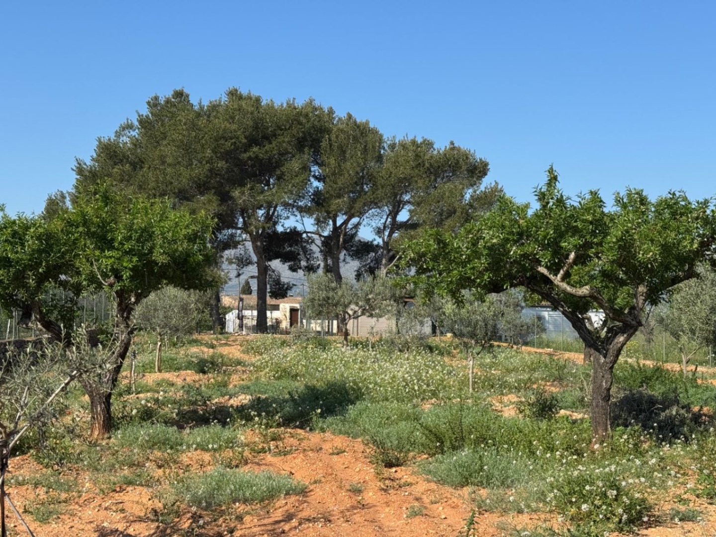 2 - vente propriété benissa - costa blanca communauté valencienne espagne