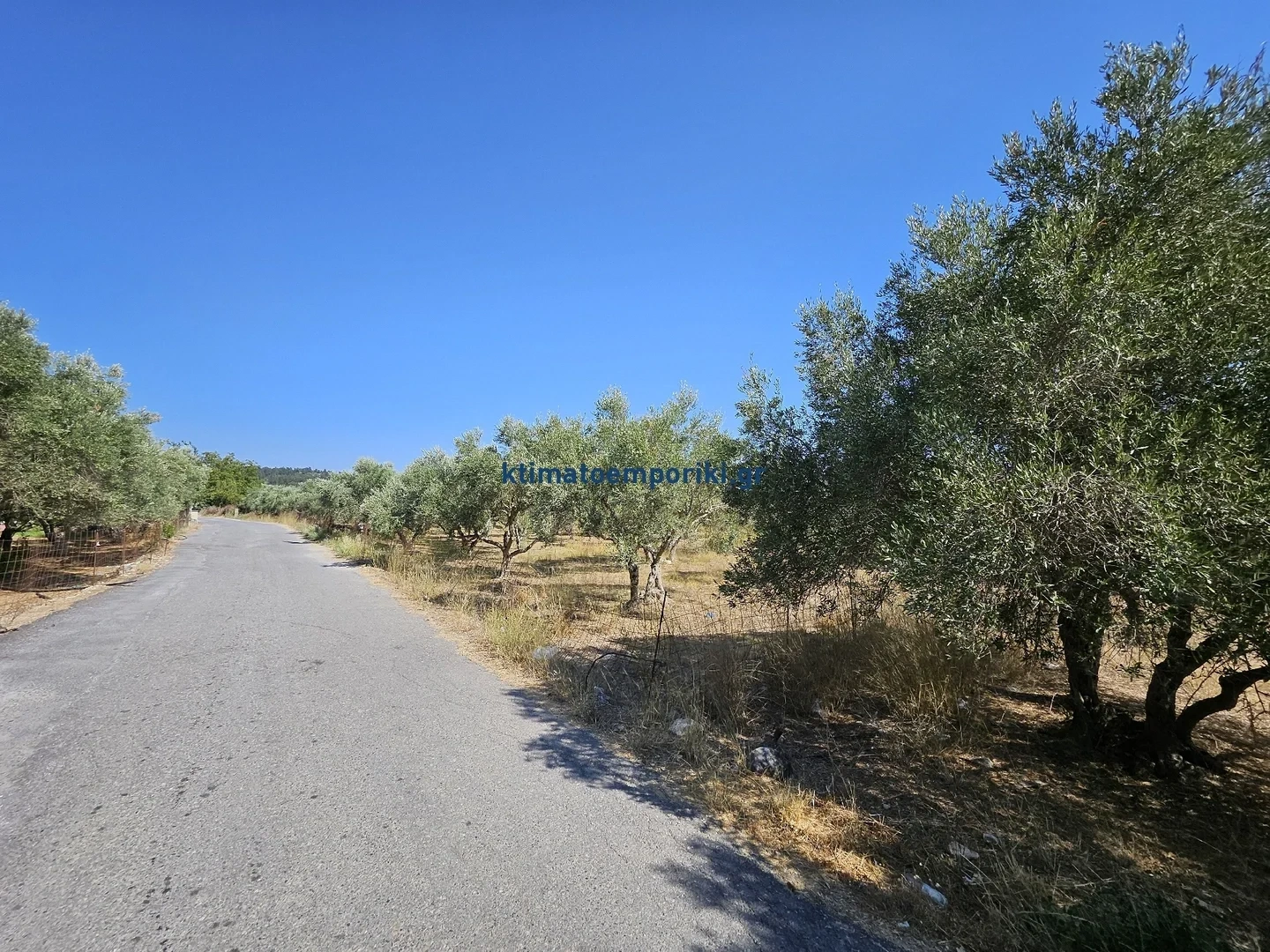 1 - venda terreno kryonerida creta grécia