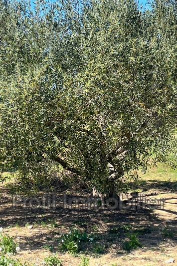 2 - venta terreno marsillargues hérault francia
