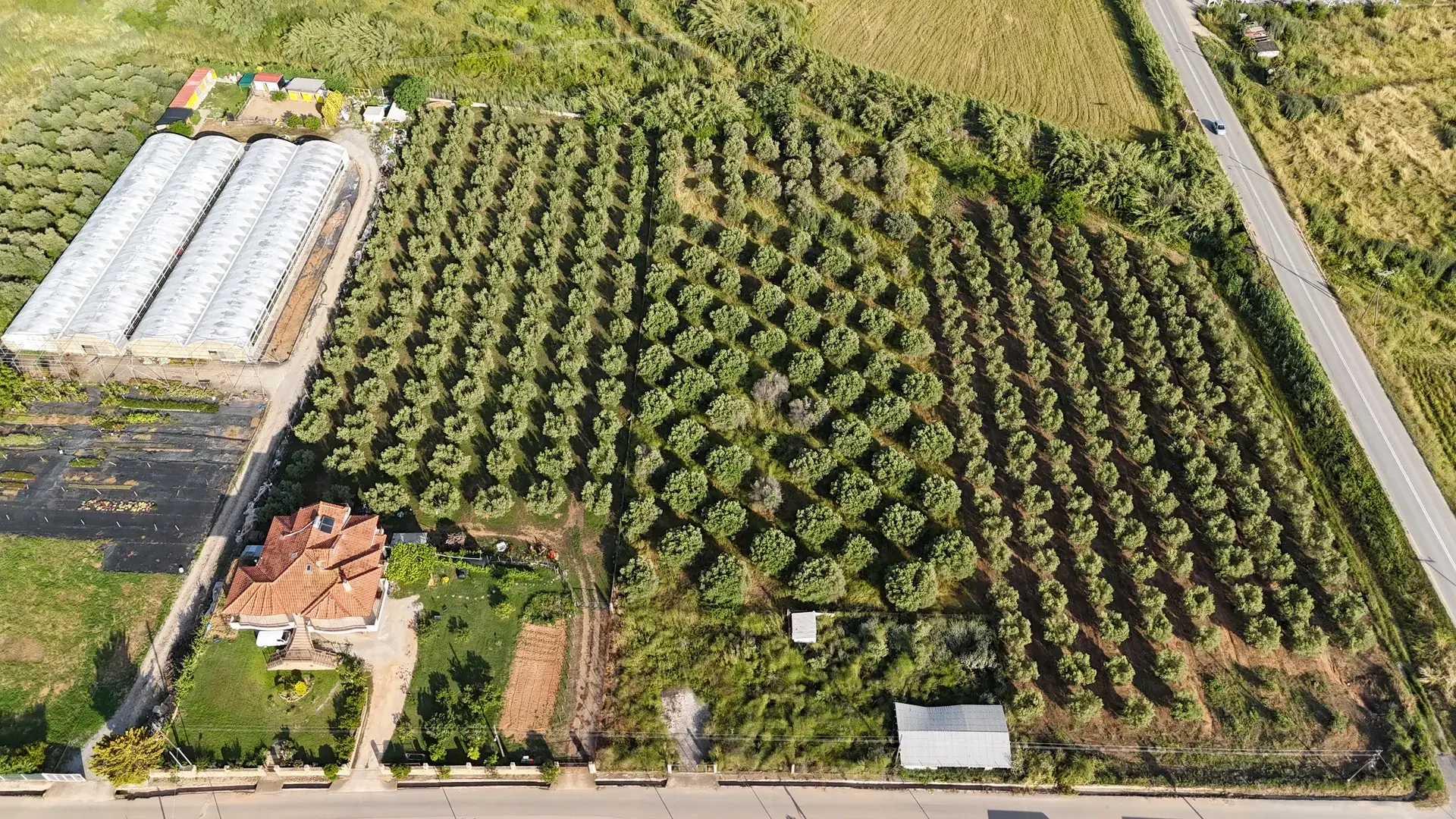 1 - vente terrain paralia dionysiou macédoine centrale grèce