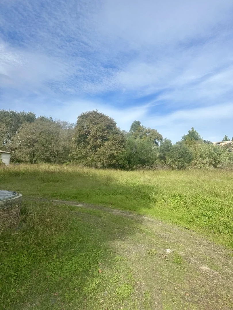 1 - vente terrain corfu îles ioniennes grèce
