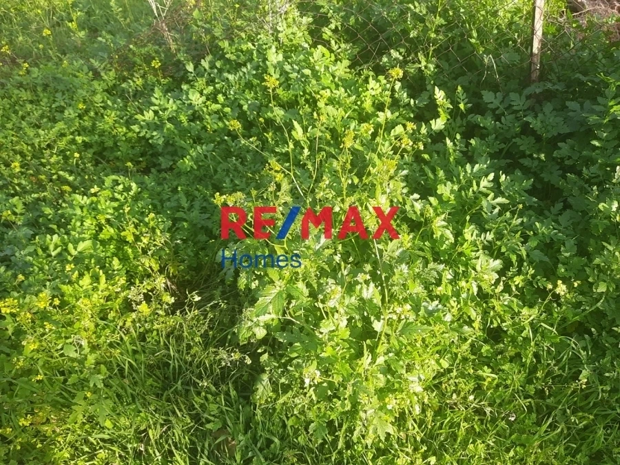 1 - beach walk plot of land for sale in vari attica greece
