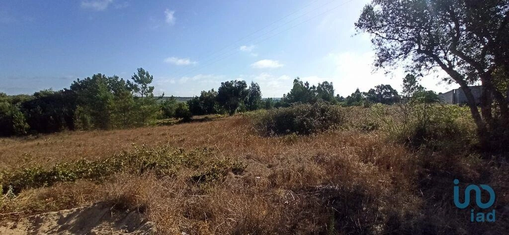 1 - venta terreno coruche alentejo portugal