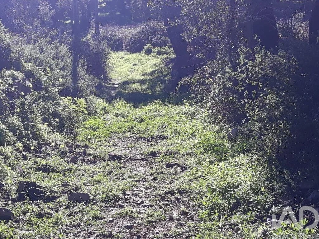 2 - venta terreno monchique algarve portugal