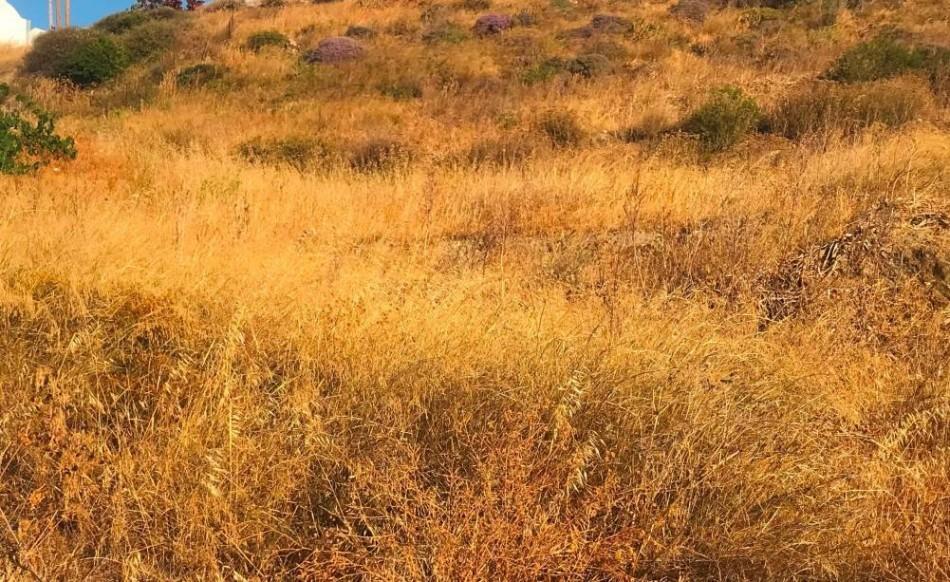 2 - vente terrain naxos - cyclades egée méridionale grèce
