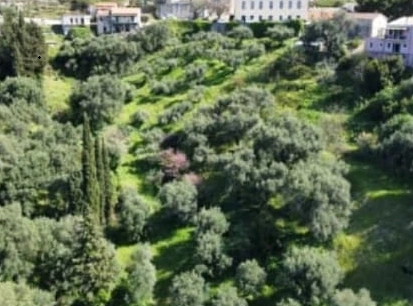 2 - vente terrain vue mer epískepsis îles ioniennes grèce
