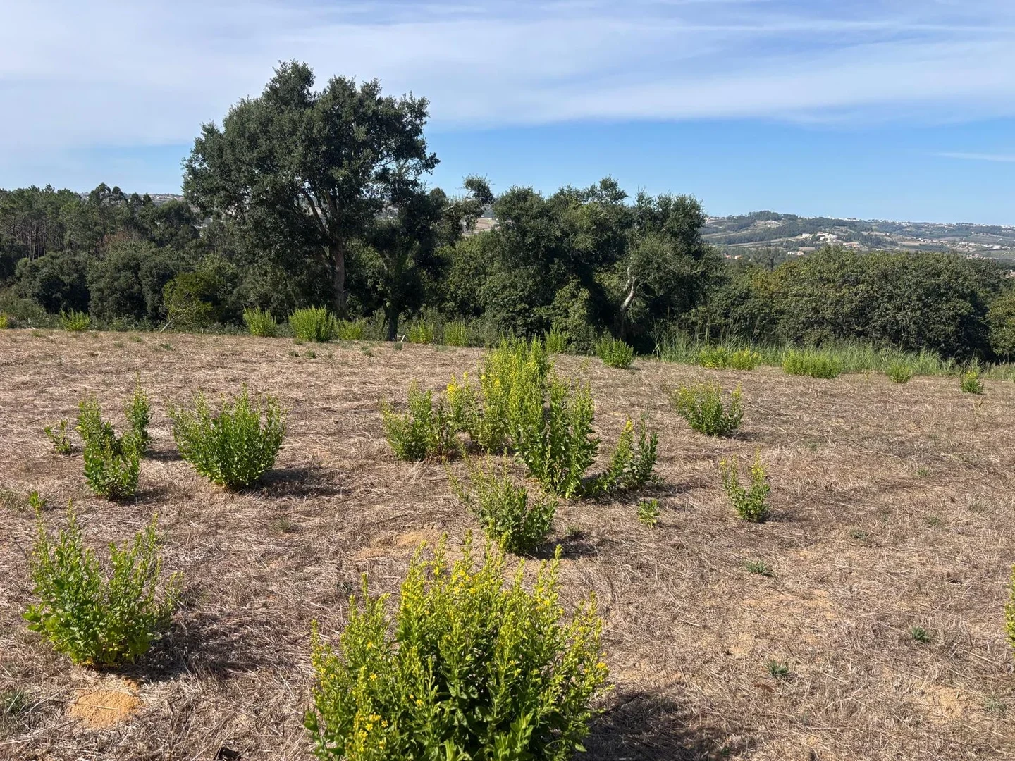 1 - venta terreno vimeiro región centro portugal
