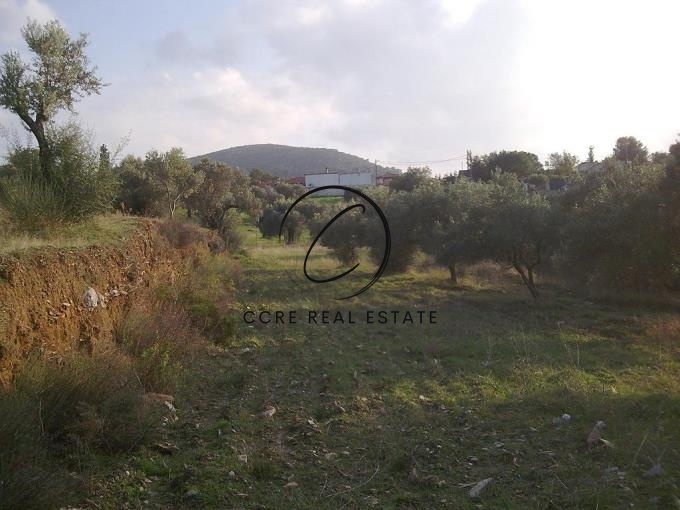 1 - plot of land for sale in ano souli attica greece