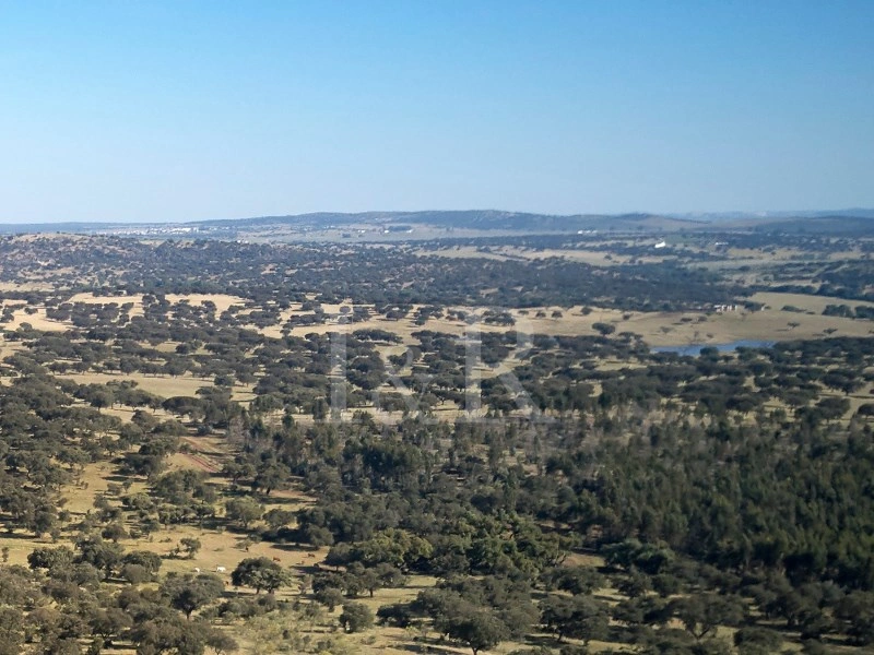 2 - vente terrain portalegre alentejo portugal