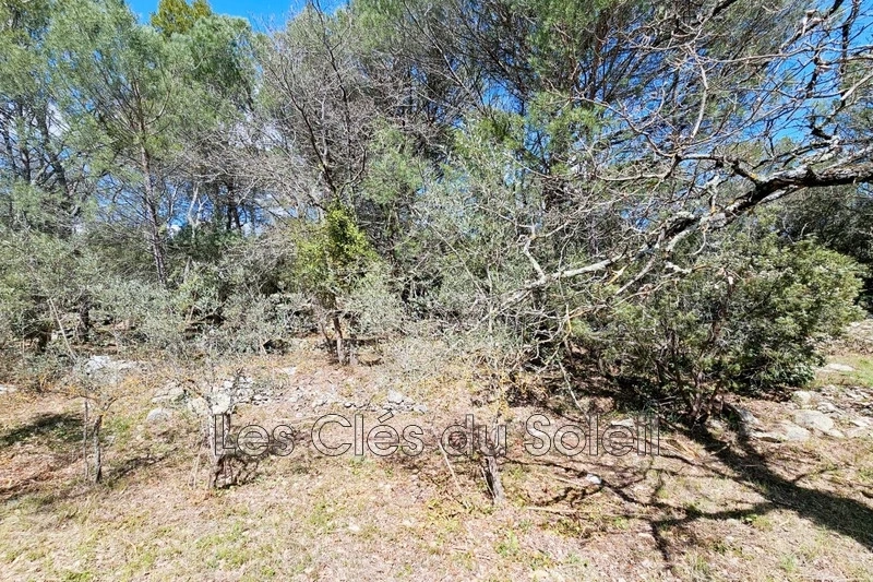 2 - vente terrain camps-la-source var france