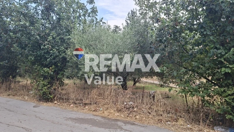 1 - plot of land for sale in lefkada ionian islands greece