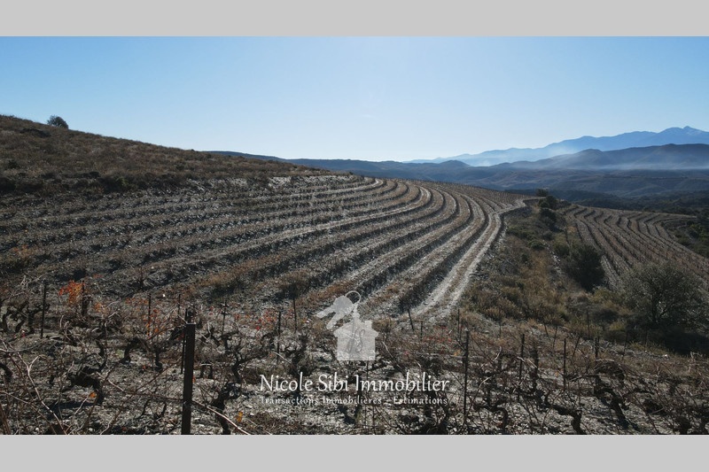 2 - verkoop terrein rasiguères pyrénées-orientales frankrijk