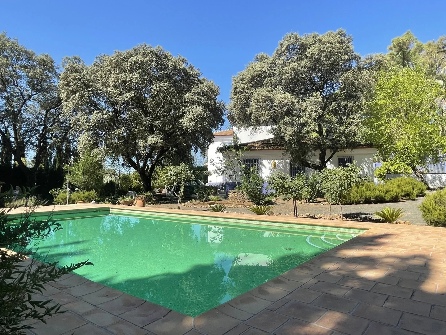 Propriedade com piscina
