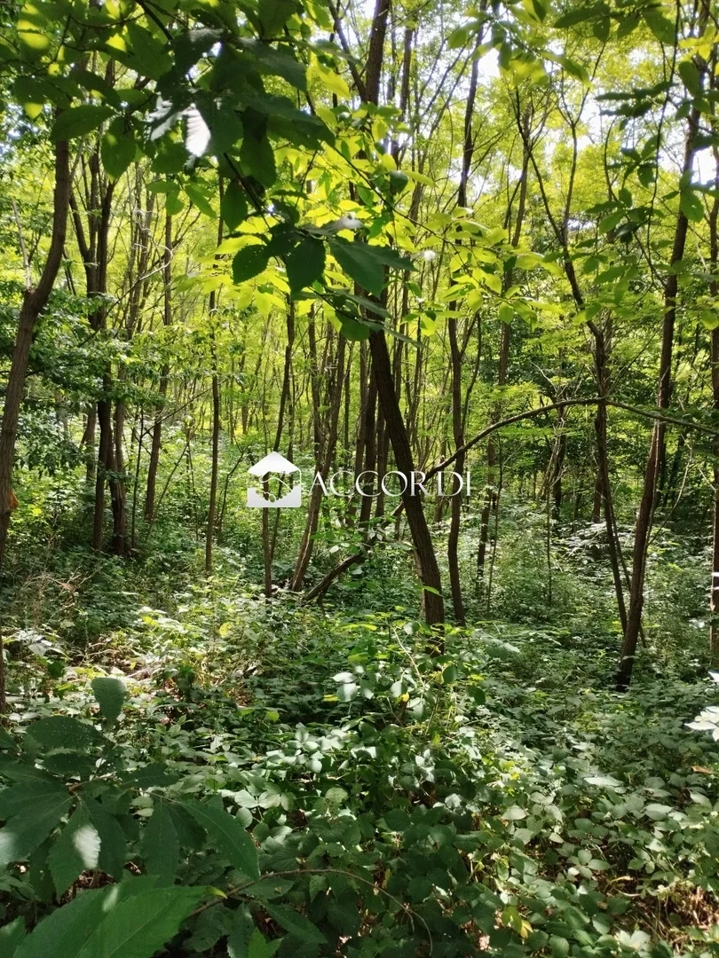 2 - venta terreno giavera del montello véneto italia