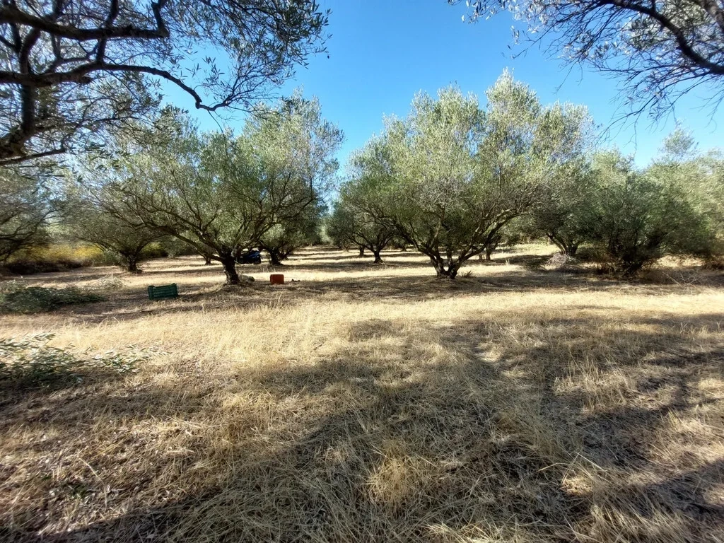 2 - vente terrain peristerá macédoine centrale grèce