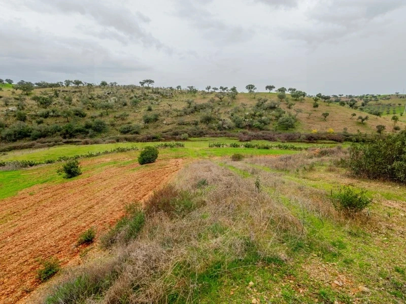 2 - vente propriété serpa alentejo portugal