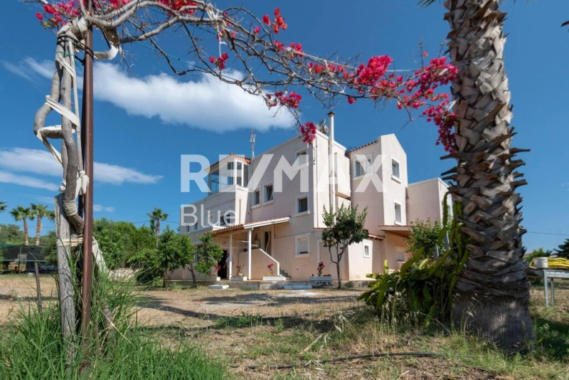 2 - vente appartement kos egée méridionale grèce