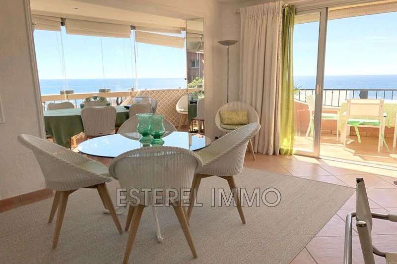 1 - sea view apartment for vacation rentals in théoule-sur-mer alpes-maritimes france