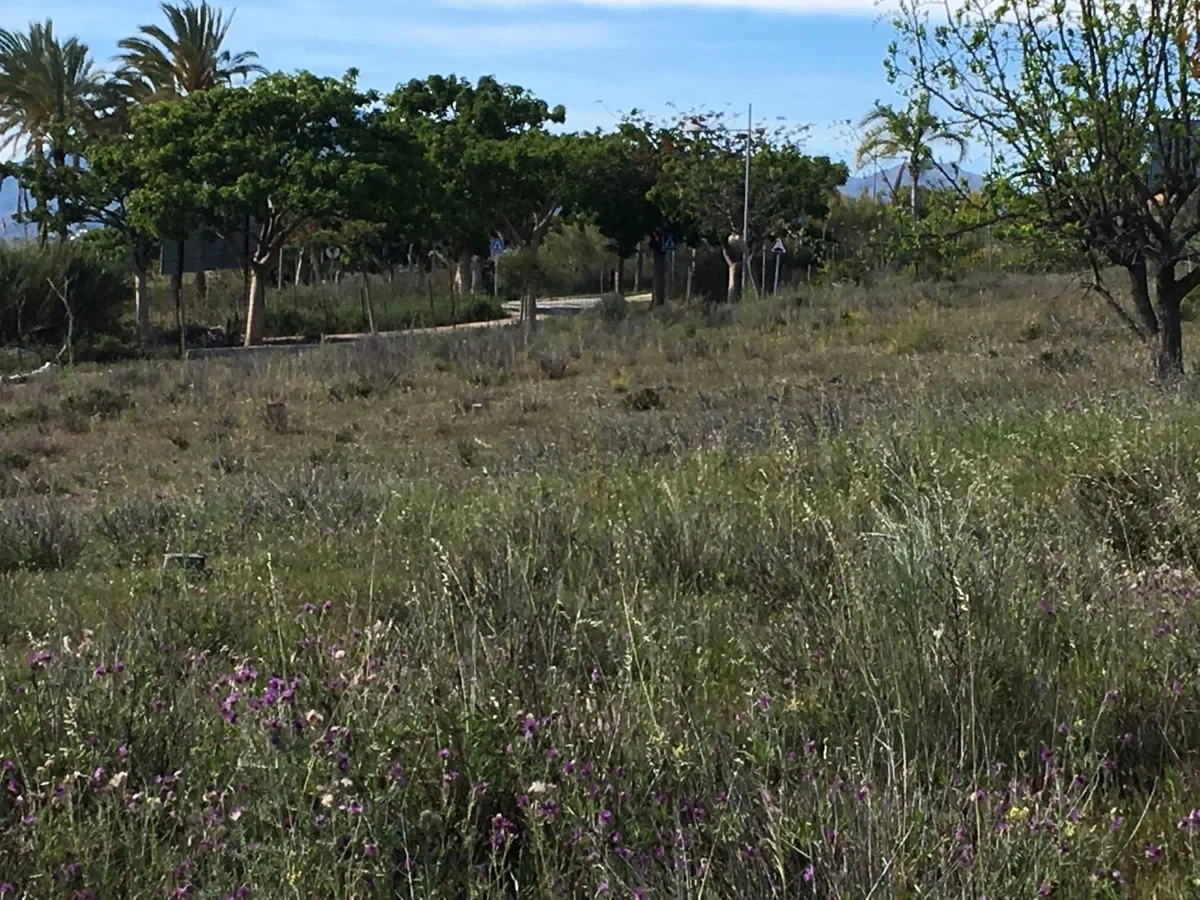 2 - venta terreno cancelada - costa del sol andalucía españa